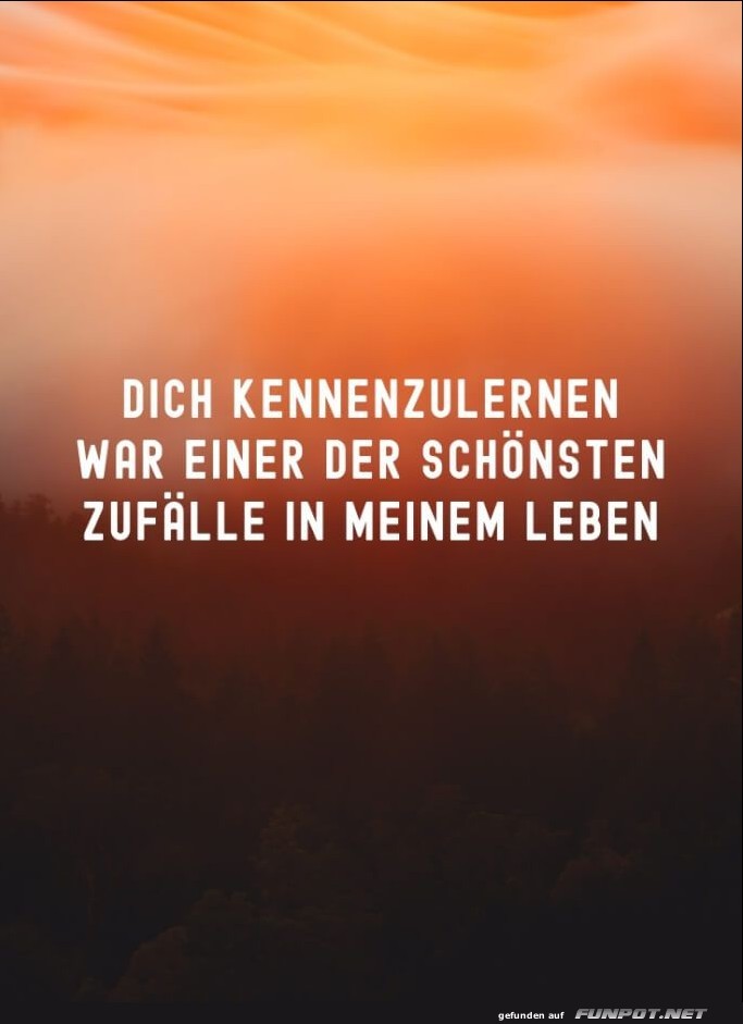 sch�ne Spr�che zur Liebe und Partnerschaft