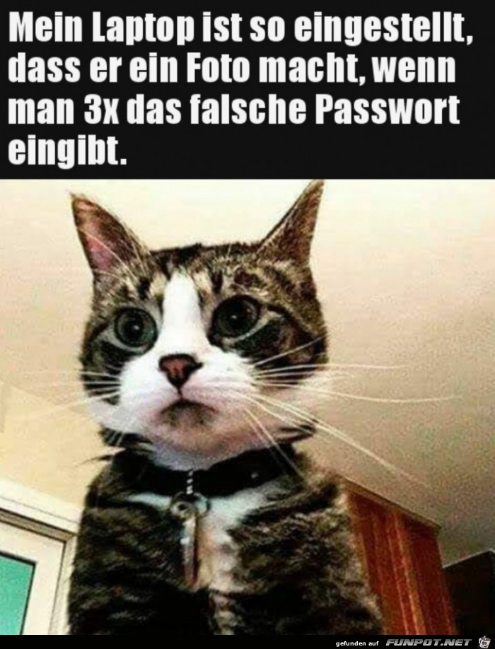 Ups, Passwort falsch eingegeben