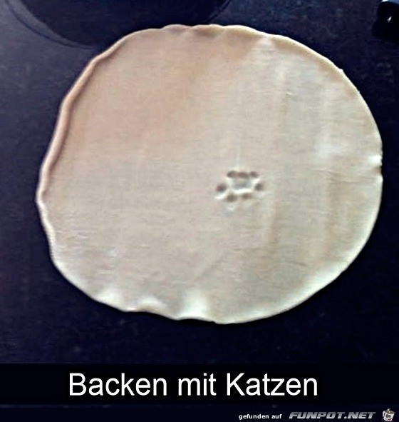 Backen mit Katzen Backen mit Katzen