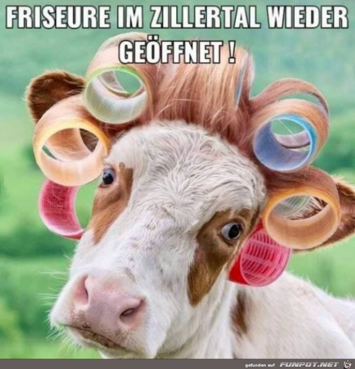 Friseure wieder geffnet