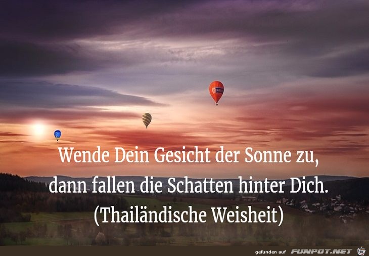 Wende dich der Sonne zu