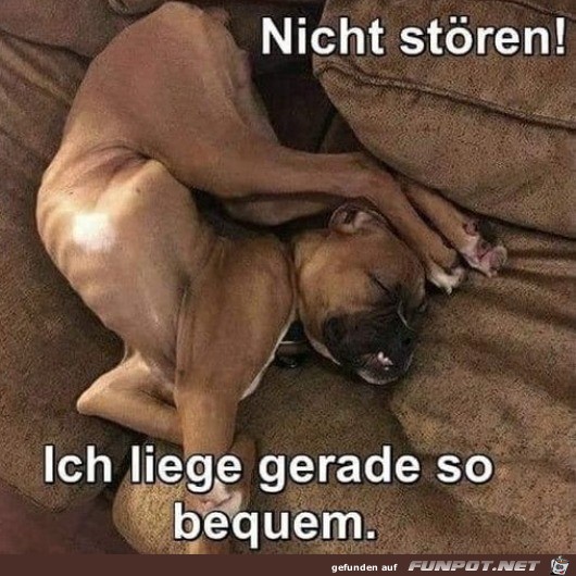 Nicht stren