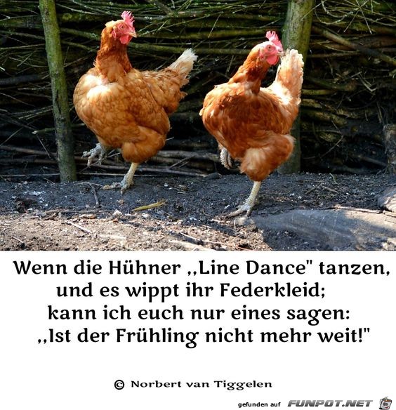 Hhnerfreuden