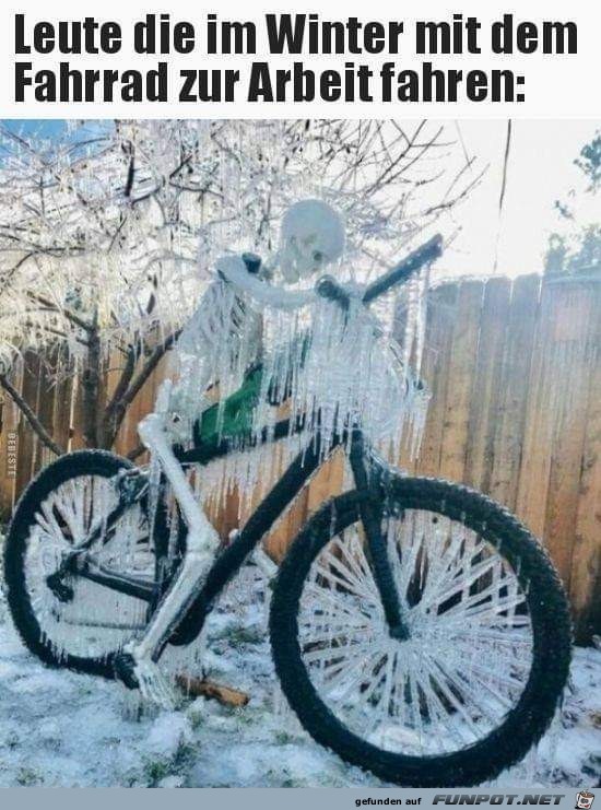 im Winter im Winter