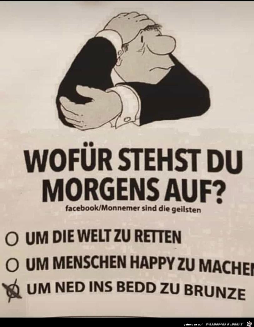 Wofr stehst du morgens auf?