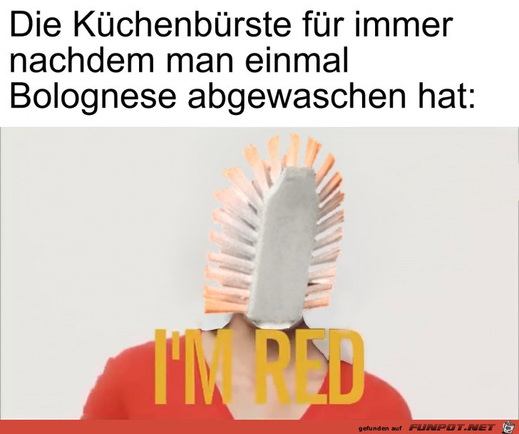 Die Spülbürste für immer Die Spülbürste für immer