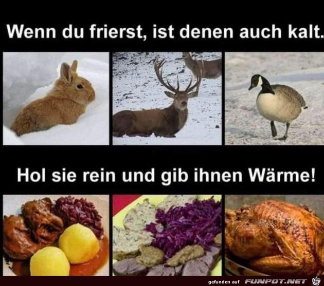 wenn Du frierst wenn Du frierst