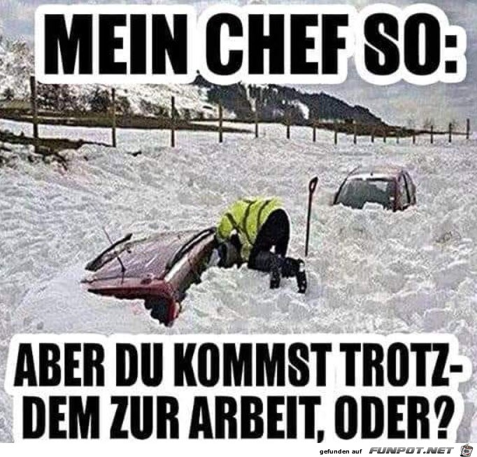 Mein Chef 