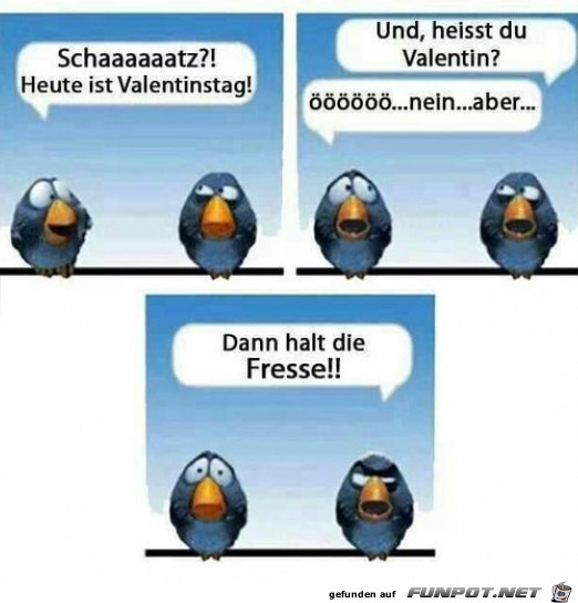 Dann halt die Fresse