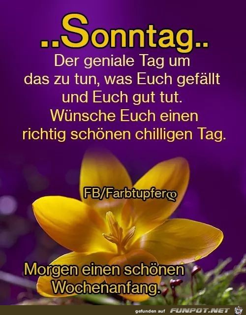 Sonntag