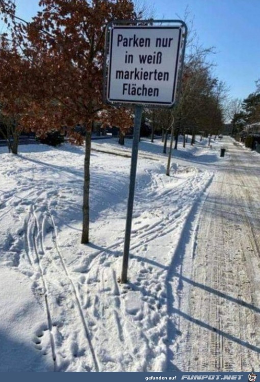 Nur ein wei markierten Flchen parken