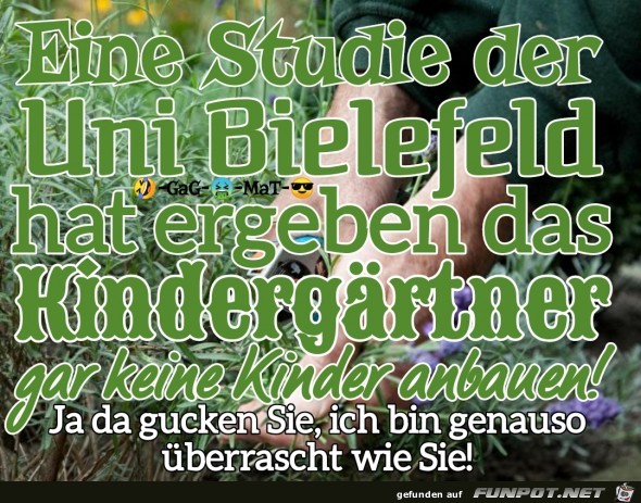 Kindergaertner Kindergaertner