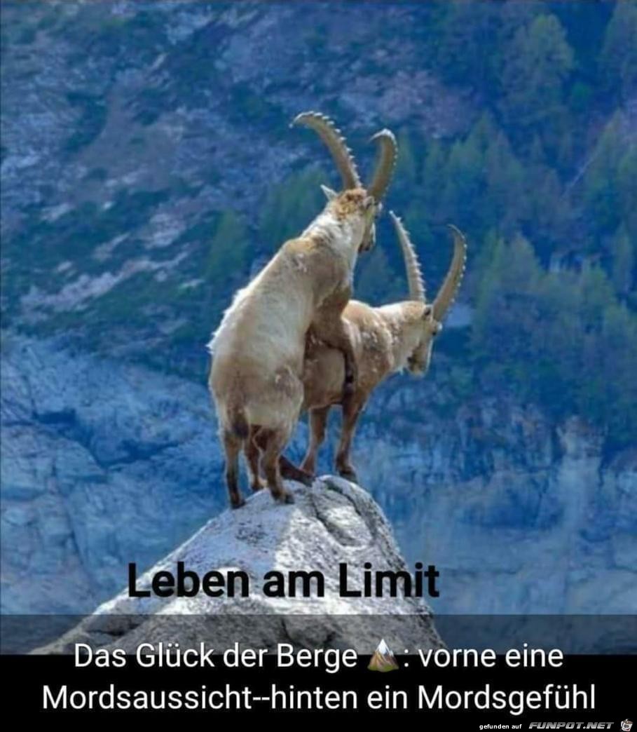 Leben am Limit