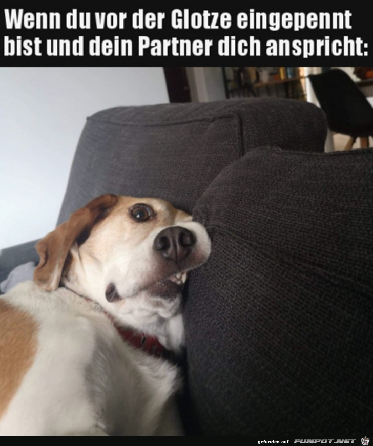 Wenn du eingepennt bist