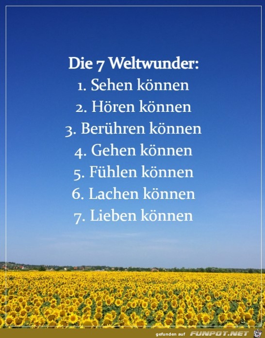 10 schne Sprche und Lebensweisheiten aus...