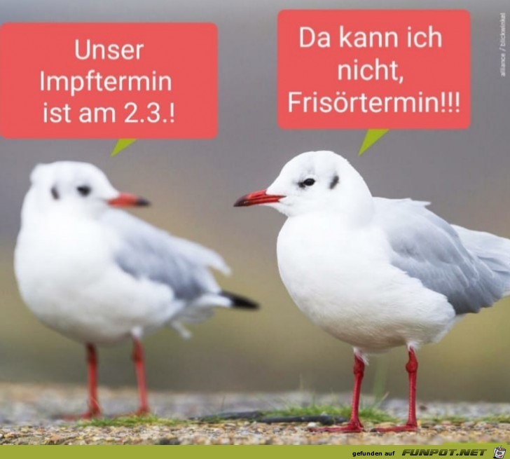 Impftermin vs. Friseur