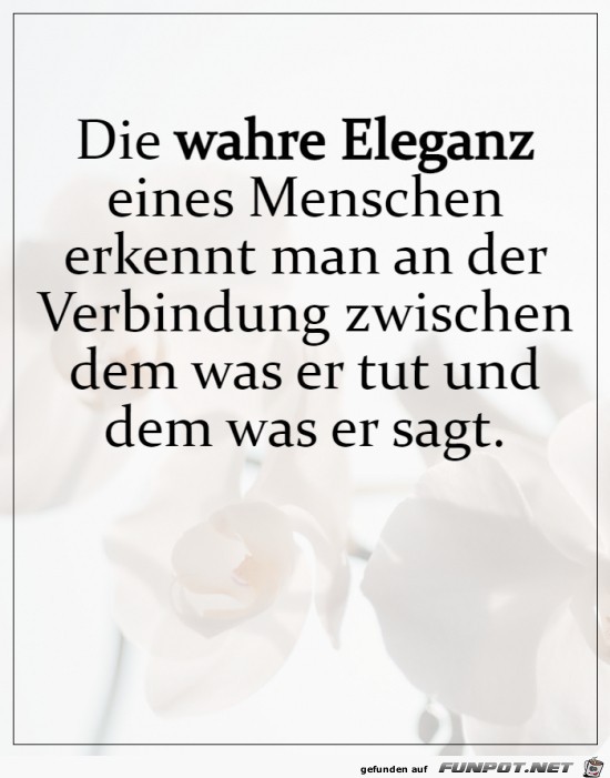 Die Eleganz eines Menschen