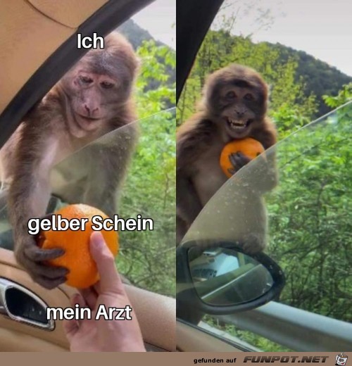 Freude ber gelben Schein