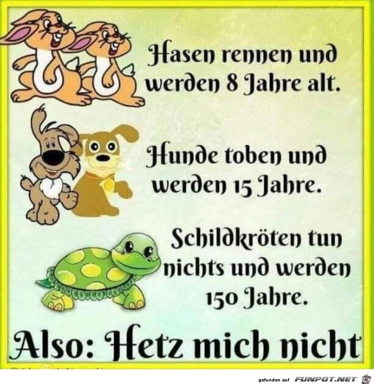 Hetz mich nicht Hetz mich nicht