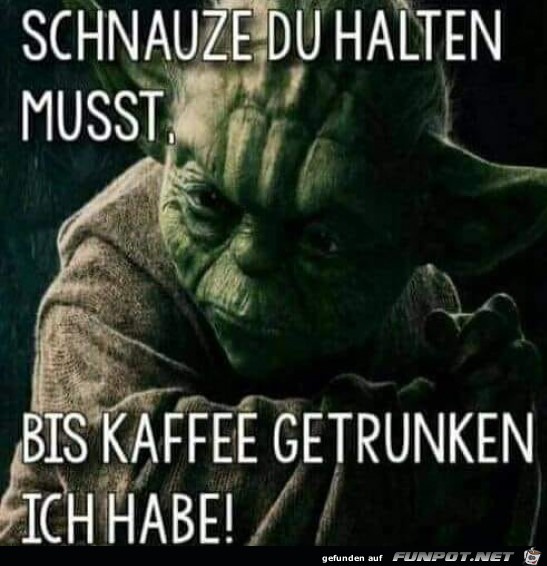 Schnauze du halten musst