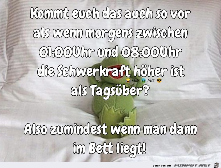 Schwerkraft Schwerkraft