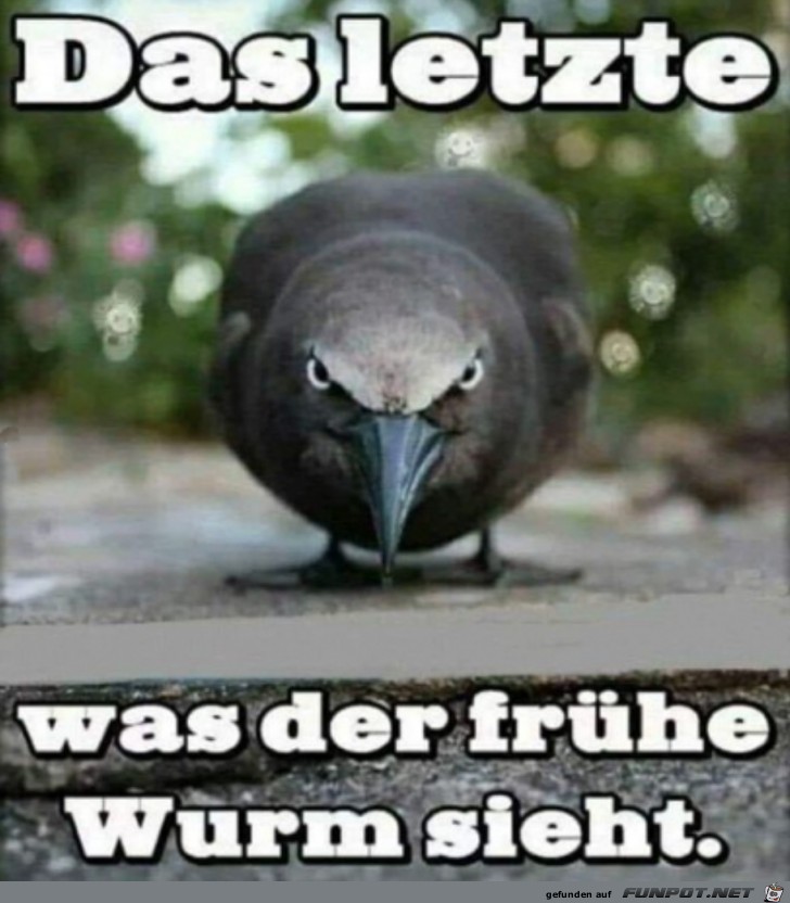 Der frhe Wurm