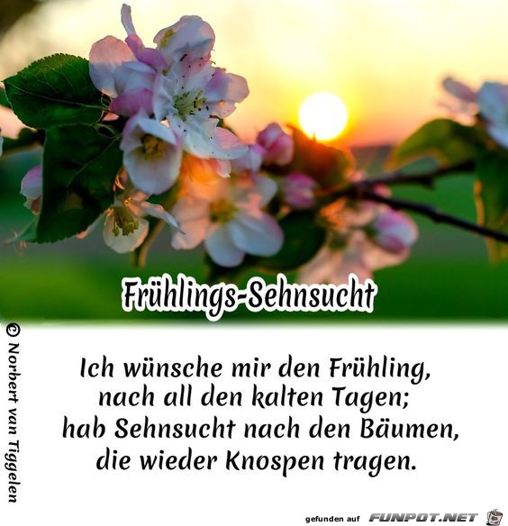 Frhlingssehnsucht