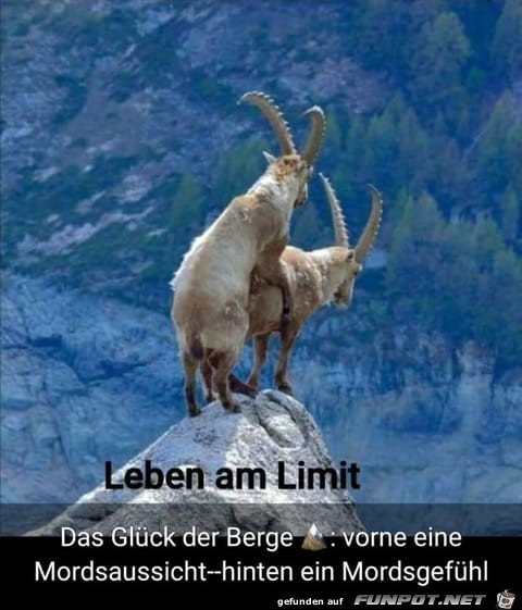 Leben am Limit