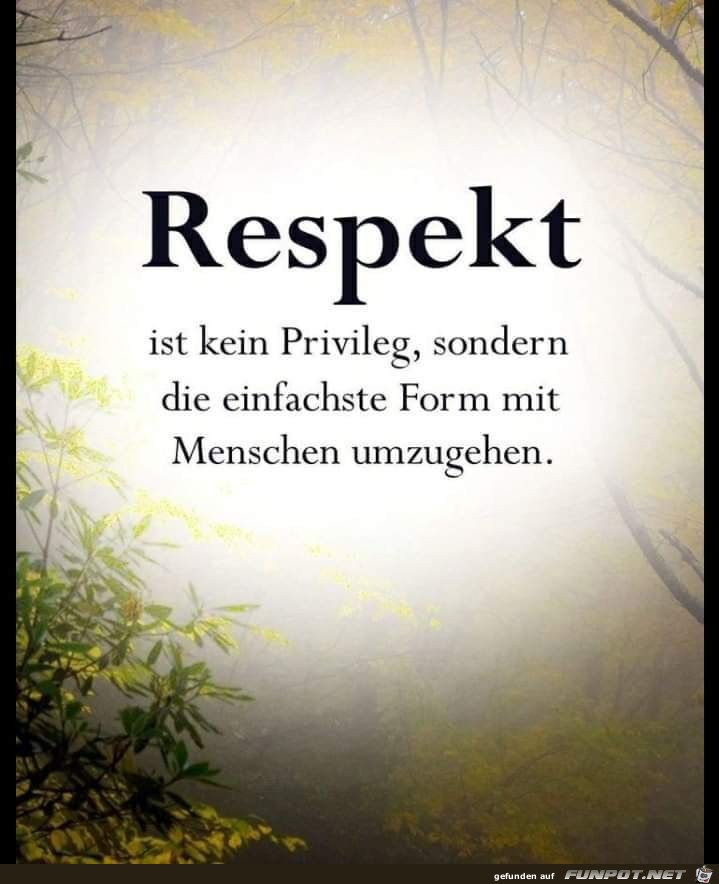 Respekt