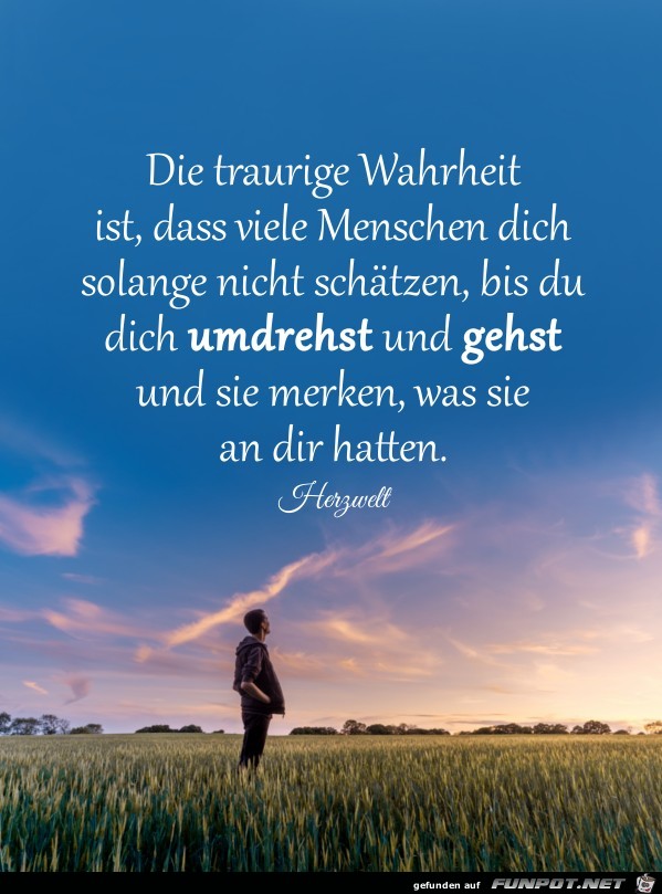 Die traurige Wahrheit