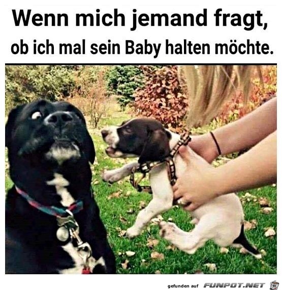 Willst du mein Baby halten?