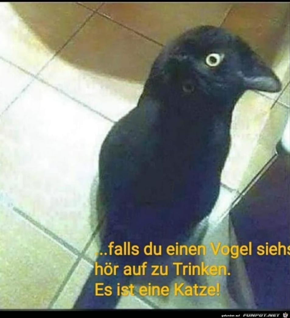 Trugbild