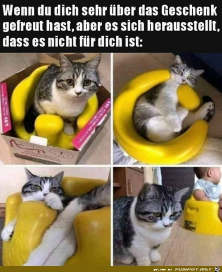 Tolles Geschenk