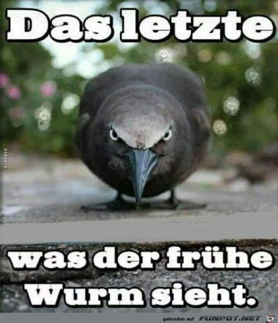 Das Letzte