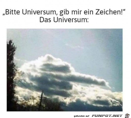 witzige Bilder aus verschiedenen Blogs