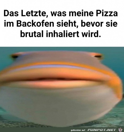 Was meine Pizza im Ofen sieht