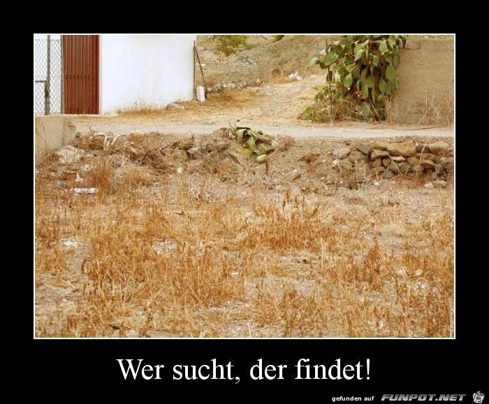 wer sucht der findet ! Wo ist die Katze ?