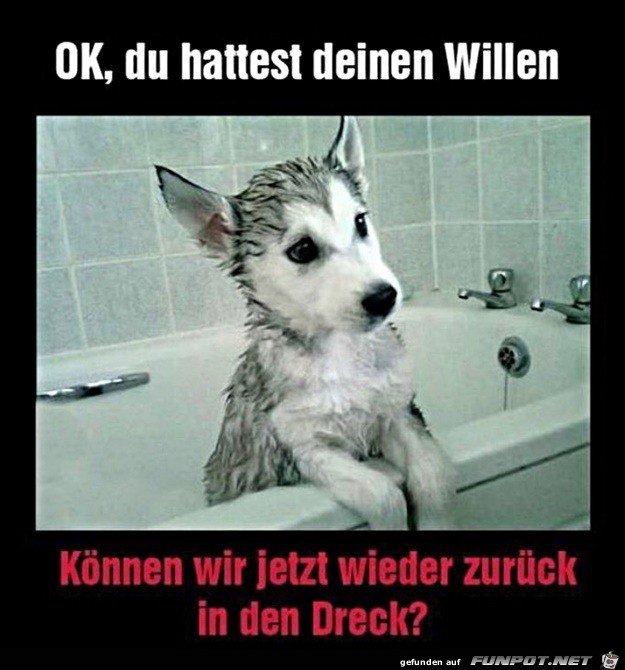 Knnen wir wieder in den Dreck?