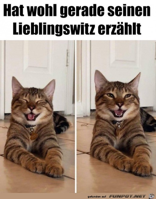 Lieblingswitz erzhlt