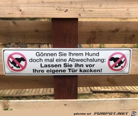 Dem Hund mal eine Abwechslung gnnen