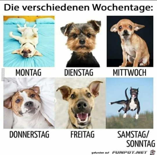 die verschiedenen Wochentage