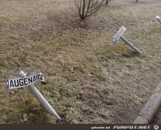 Augenarzt Augenarzt