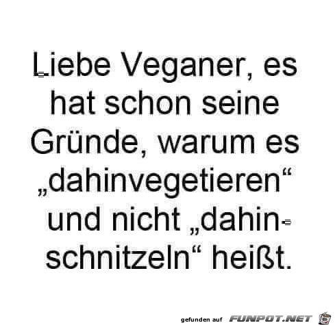 Dahinvegetieren Dahinvegetieren