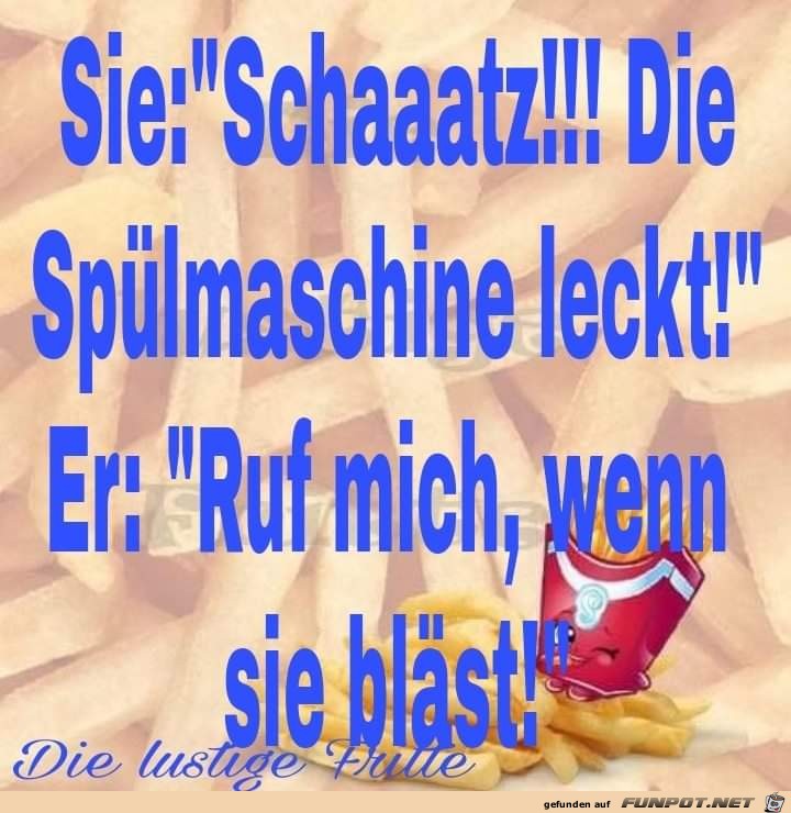 Die Spuelmaschine...