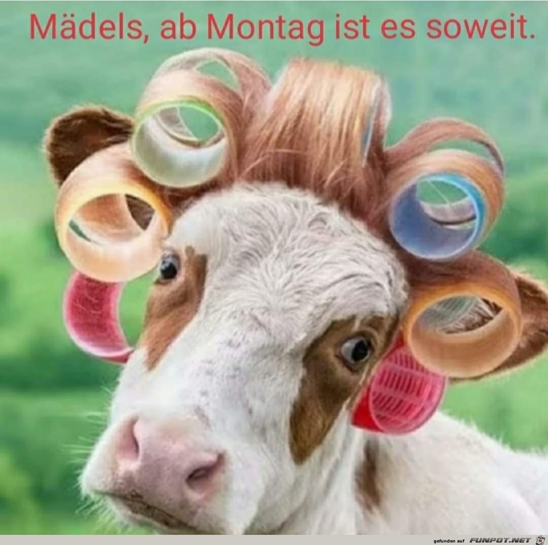 es ist soweit