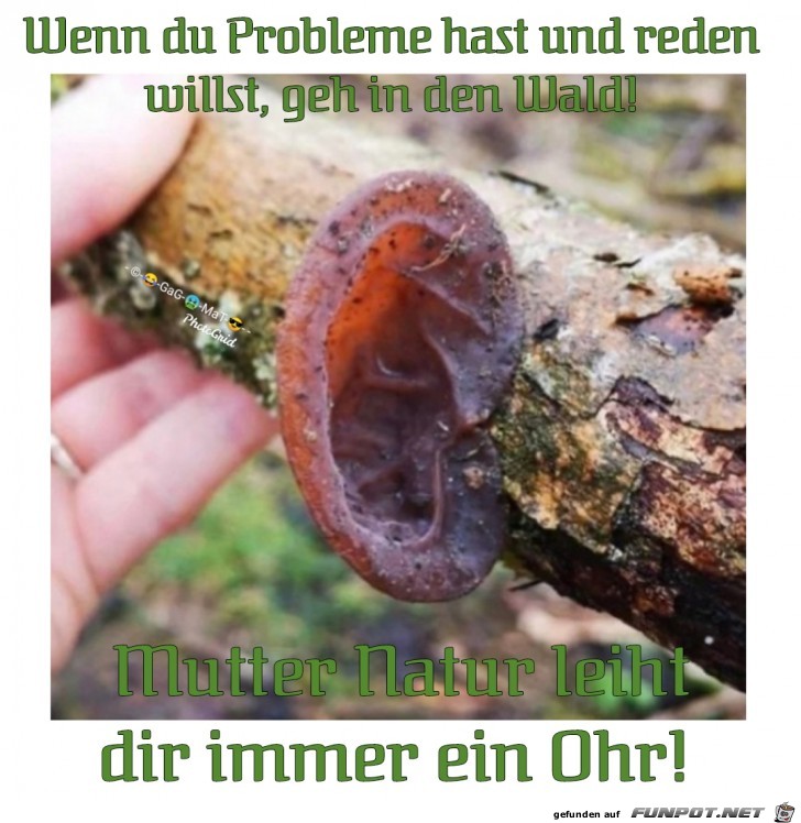 Probleme