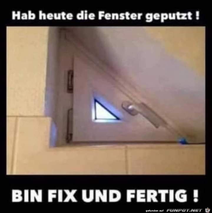 Fenster geputzt