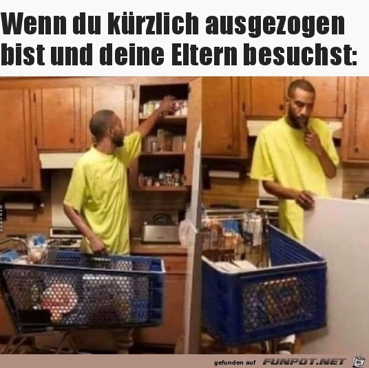 witzige Bilder aus verschiedenen Blogs