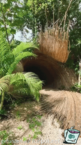Cooler Bambus-Tunnel