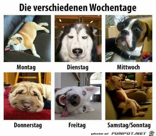 die verschiedenen Wochentage